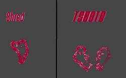 The Shreded Underbelly Of The Behemoth : Flesh as Prophets